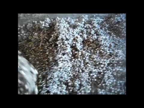 Видео: 🇰🇿 🔝 💯Полистиролбетон. Ответы на часто задаваемые вопросы.