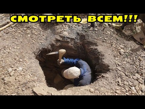 Видео: ОГО! НАХОДКА В СТАРОМ ДЕРЕВЕ ЗАСТАВИЛА ПОПОТЕТЬ! В Поисках Клада от Влада!