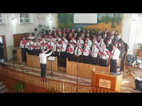 Видео: "Ясный ли день, темная ль ночь" Диригент М.Сукало