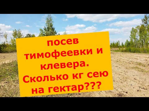 Видео: Посев клевера и тимофеевки .Сколько сею на гектар???