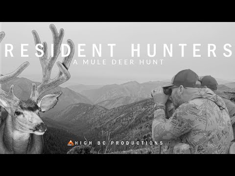 Видео: На краю дыма | 30-дюймовый олень-мул