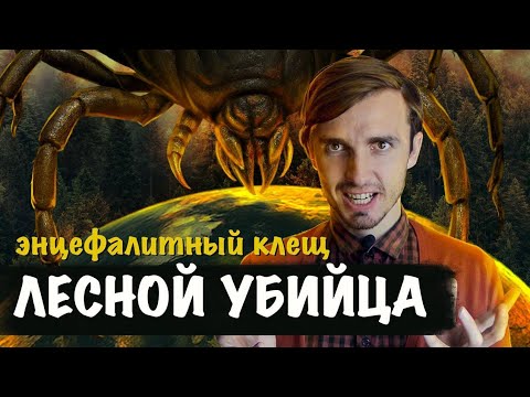Видео: ЭНЦЕФАЛИТНЫЕ КЛЕЩИ: Они умнее чем ты думаешь - [История Медицины]