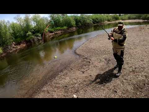 Видео: Организация ужина/  fishing