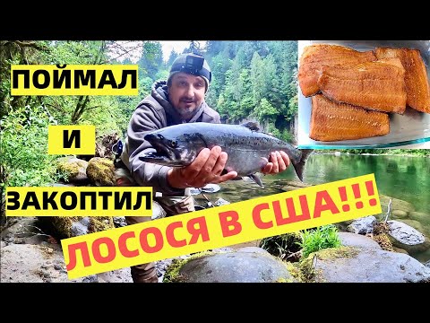 Видео: ПОЙМАЛ И ЗАКОПТИЛ ЛОСОСЯ, ПАЛЬЧИКИ ОБЛИЖЕШЬ!!!!
