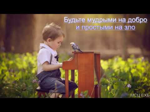 Видео: "Будьте мудрыми на добро и простыми на зло". Д. В. Самарин. МСЦ ЕХБ.