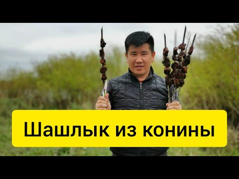 Видео: Шашлык из Конины такого вы ещё не ели/ самый лучший маринад