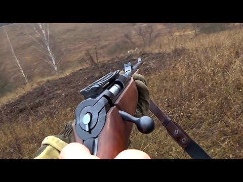 Видео: Охота на копытных / олень / кабан / косуля / загонная / коллективная