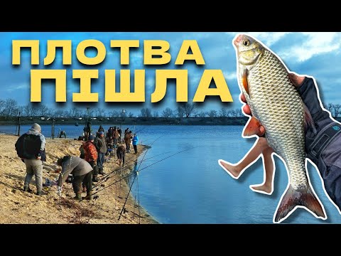 Видео: ПЛОТВА ПІШЛА‼️Зимовий ФІДЕР🥶 Багато КЛЮВАНЬ🎣