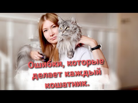 Видео: Ошибки, которые продолжает делать каждый кошатник