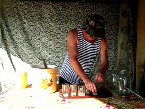 Видео: Самый быстрый квас.