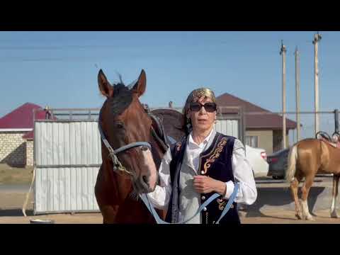 Видео: "БІР ЕЛ - БІР КІТАП" АКЦИЯСЫ