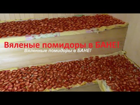 Видео: Помидоры  вяленые в бане!