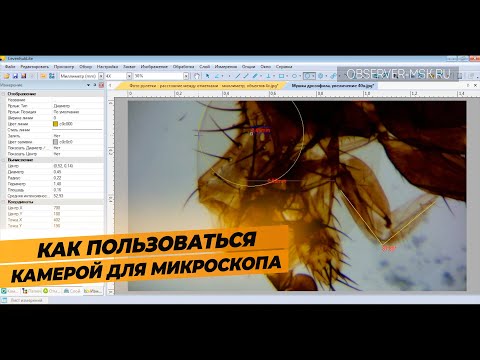 Видео: Как настроить камеру для микроскопа | Levenhuk M BASE