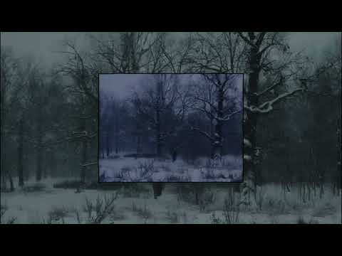 Видео: ❄ плейлист зимы 2021 | вайбовые треки из тик тока ❄