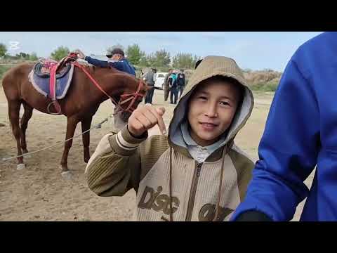 Видео: 28 СЕНТЯБР 2025 ЖЫЛ ШЫМБАЙ МАЛ БАЗАР