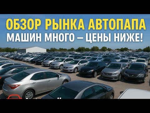 Видео:  Мошинбозори Грузия 🇬🇪 #15 подбор ✅доставка ✅ растаможка✅ под ключ 🗝️ ✅ 