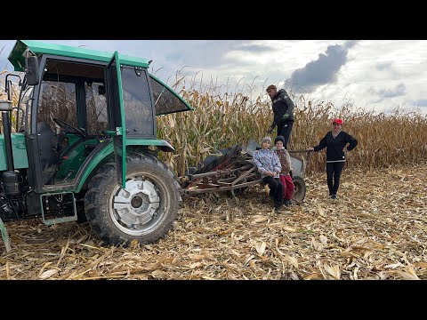Видео: Сімейний збір кукурудзи! Демо ділянки!