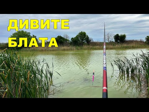 Видео: ИМА ли РИБИ в ТОЗИ ДИВ ВОДОЕМ - КАКВО УСПЯХ да ХВАНА на ЖИТО, СЛАДКА ЦАРЕВИЦА и БЯЛ ЧЕРВЕЙ