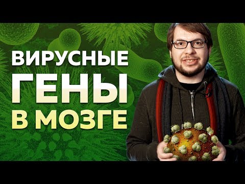 Видео: Вирусные гены в мозге