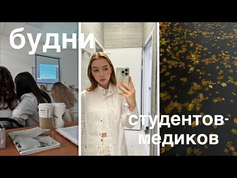 Видео: VLOG//будни студентов МЕДИЦИНСКОГО//вещи, которые я осознала к 5 курсу//неделя октября🍂📚