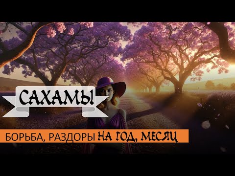 Видео: Сахама КАЛИ - борьба, раздоры на год и на месяц. Мой пример