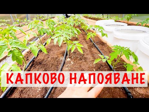 Видео: Как да си направим КАПКОВО НАПОЯВАНЕ стъпка по стъпка! Повдигнати лехи в оранжерия.
