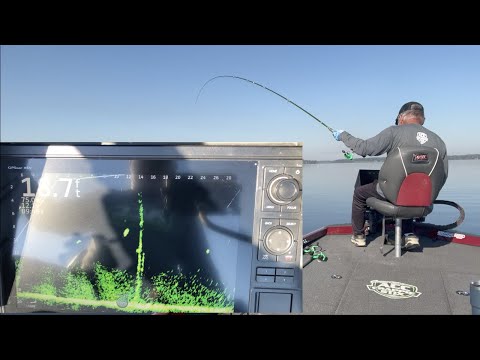 Видео: ЖИВОЙ СКОПИНГ ЖИРНОГО ОСЕННЕГО КРАППИ