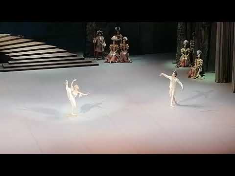 Видео: Спящая красавица 1 ноя вечер 2025