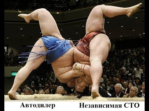 Видео: Автодилер или независимая СТО?