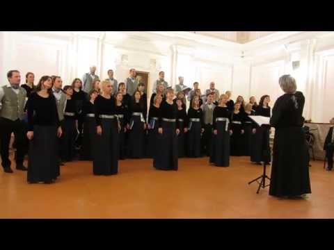 Видео: "Может знает лес"