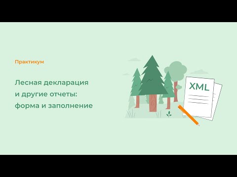 Видео: Лесная декларация и другие отчеты: форма и заполнение