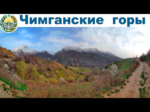 Видео: Чимганские горы весной и Чарвакское водохранилище  |  Chimgan Mountains, Uzbekistan