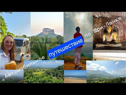 Видео: Шри-Ланка февраль 2024. Арендовали авто и проехали 1000 км. Что нужно знать.