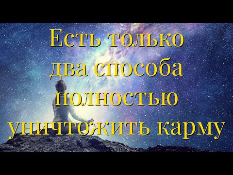 Видео: 15. Роберт Адамс. Существует ли карма
