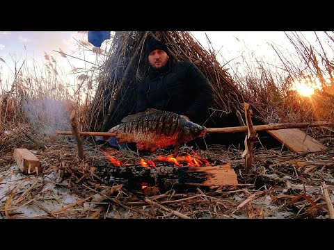Видео: Winter Bushcraft Я Ухожу Будувати Укриття З Комиша Як В Дитинстві.Кемпінг В Зимку.Зимовий Бушкраф.