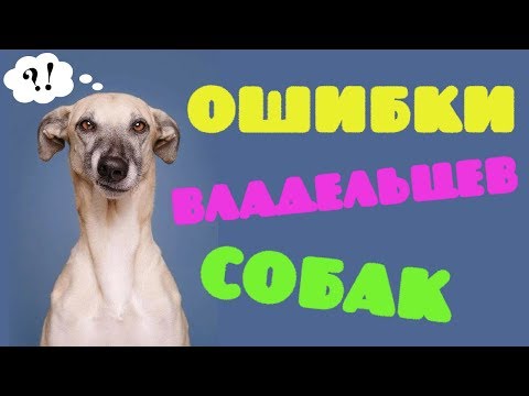 Видео: ОШИБКИ ВЛАДЕЛЬЦЕВ В ВОСПИТАНИИ И СОДЕРЖАНИИ СОБАКИ