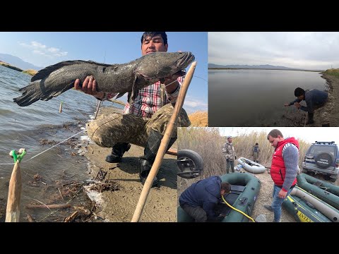 Видео: Рыбалка на реке Или.Верхнее разливы ловля змееголова.