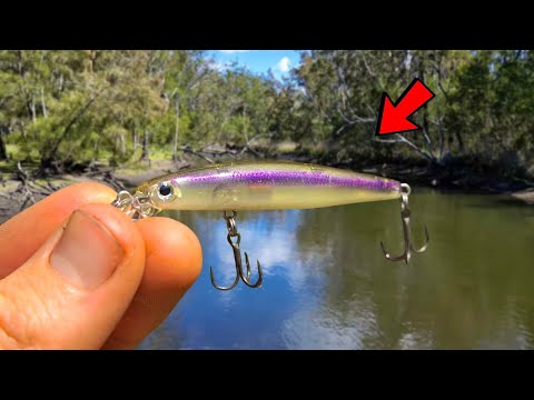 Видео: Приманки с жестким корпусом БЬЮТИ в тонкой воде!