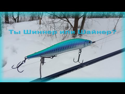 Видео: FishComm Shop. Kosadaka Shinner XS 115SP. Ты Шиннер или Шайнер?