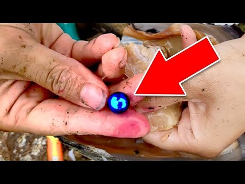 Видео: Как Разбогатеть С Помощью Природы