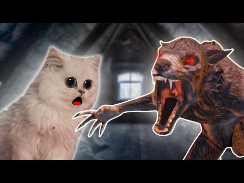 Видео: Кошечка ВАСИЛИСА СПАСЛА нас от  ГИБЕЛИ!!!