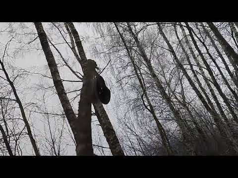 Видео: Тест на чуствительность нового глубинного прибора.