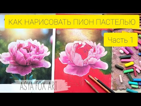 Видео: КАК НАРИСОВАТЬ ПИОН СУХОЙ ПАСТЕЛЬЮ / ЧАСТЬ 1