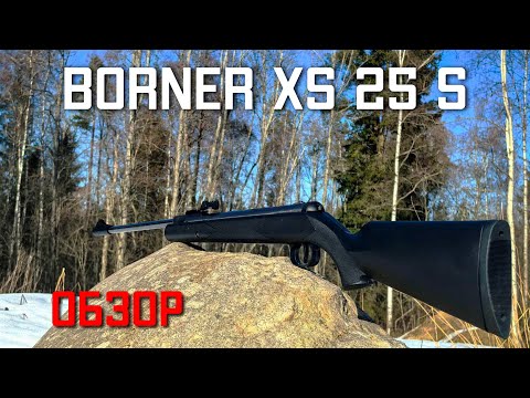 Видео: Borner XS25S МОЩНАЯ И НЕДОРОГАЯ пневматическая винтовка 4 5 мм ОБЗОР #borner #bornerкупить