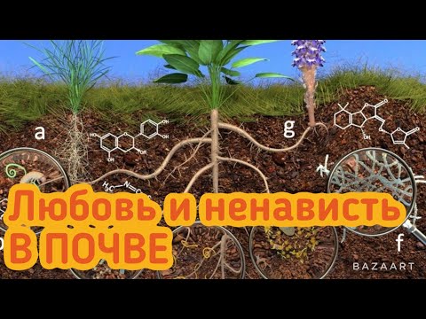 Видео: Сколько ЛИТЬ в граммах БИОПРЕПАРАТОВ!