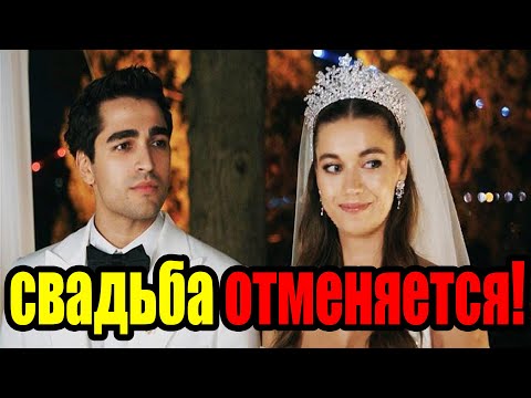 Видео: АФРА НЕ ХОЧЕТ ЛЮБВИ С МЕРТОМ! Что говорят фанаты?