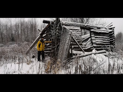 Видео: Костромские и Нижегородские леса. Нашли ЗАБРОШЕННЫЕ СТРОЕНИЯ в ГЛУХОМАНИ. УРОЧИЩЕ 15-Й УЧАСТОК