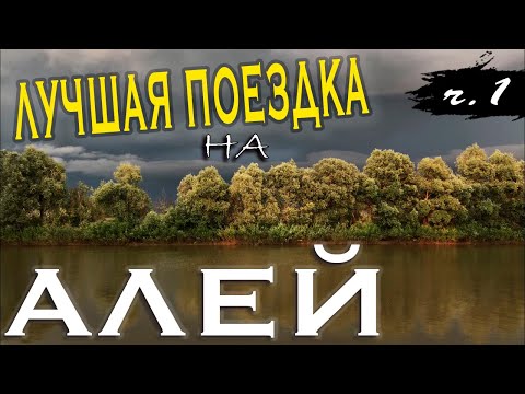 Видео: Рыбалка с ночевкой на реке Алей. Лещ на фидер. Полевая кухня. Часть 1.
