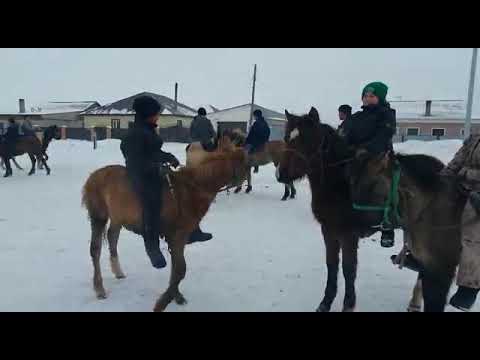 Видео: Ауылда Бәйге Жабағы жарыс.