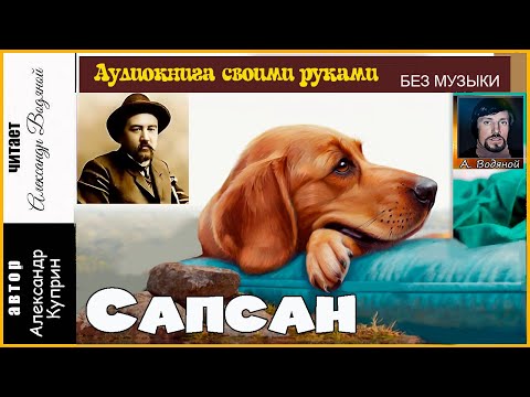 Видео: А. Куприн. Сапсан (без муз) - чит. Александр Водяной